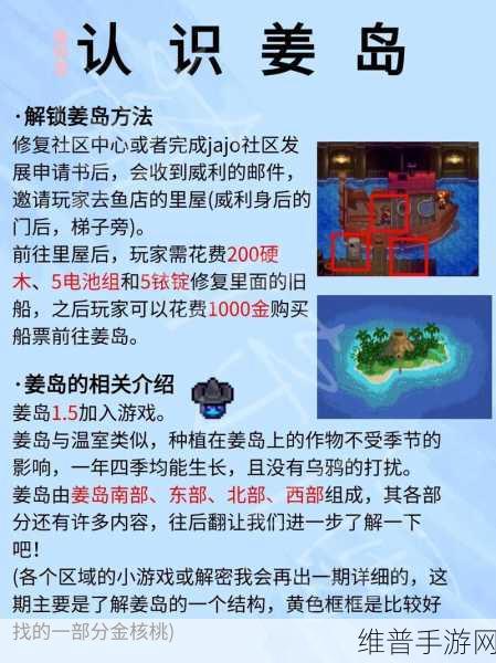 星露谷物语，全面解析姜岛前往方法与探险攻略