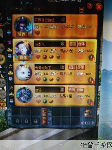 莫名其妙团灭？速看魔域口袋版限时副本天下卷全面攻略