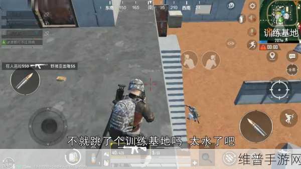 和平精英草地隐秘杀手实战全攻略，掌握草丛战术，成就隐匿杀手