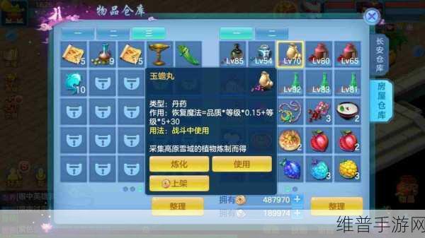 神武2手游新区全方位攻略，助你快速成长