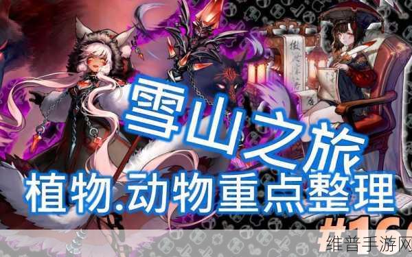 坎公骑冠剑雪山奇遇，黄碎片搜集详尽指南