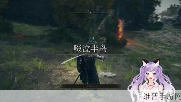 艾尔登法环乌龟盾获取全攻略，解锁顶级防御的秘诀