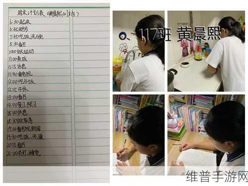 王者荣耀战队管理指南，如何高效制定与执行队规