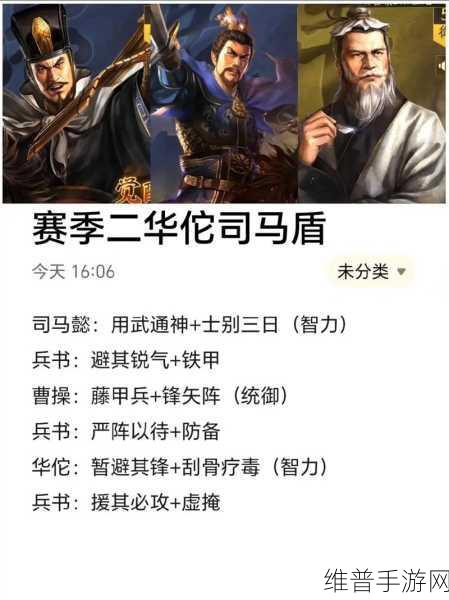 三国志战略版深度解析，魏关羽实力评估与阵容搭配推荐