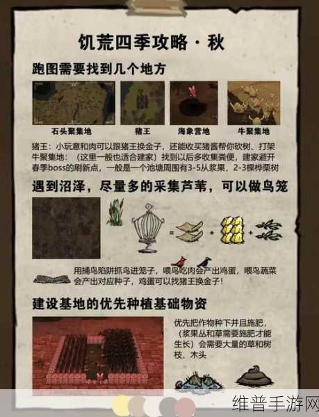饥荒手游深度攻略，揭秘影响伤害的机制