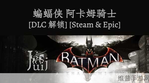 蝙蝠侠阿甘骑士Steam正版游戏停止工作问题全解析