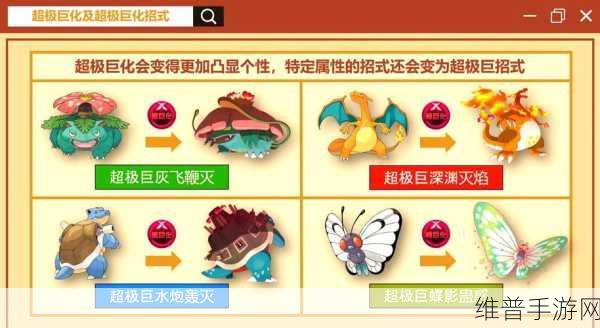 宝可梦大集结对战道具全揭秘，种类、效果与实战评价