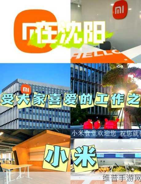 小米机器人公司获亦庄国投增资，专注仿生机器人技术创新，探索手游新领域