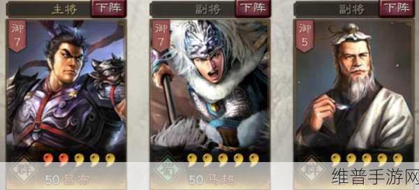 三国志:战略版深度攻略，华佗拆还是留？全面解析