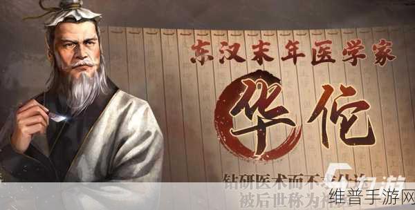 三国志:战略版深度攻略，华佗拆还是留？全面解析