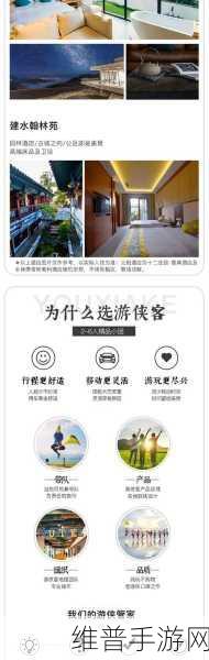 十城千人天光云影计划广州站，手游攻略数据深度解析