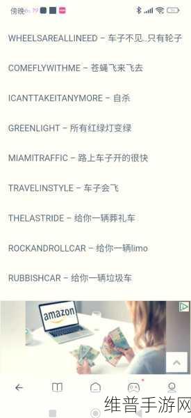 PunisherACT游戏深度攻略，解锁复仇之路的终极秘籍