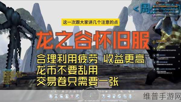龙之谷2024年刷图职业排行全解析,手游与端游谁更胜一筹?