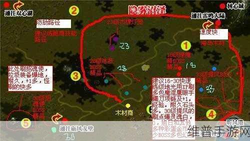阿拉德之怒雷鸣沼泽深度攻略，解锁秘籍征服强大电击哥布林