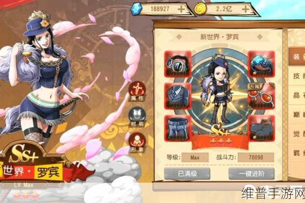 航海王启航，高手进阶全攻略，解锁海域新篇章