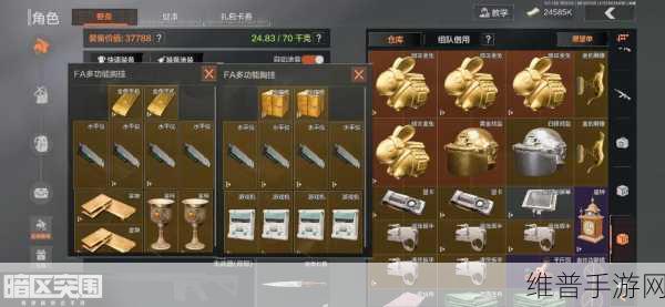暗区突围仓库管理攻略，精准留存，制胜关键
