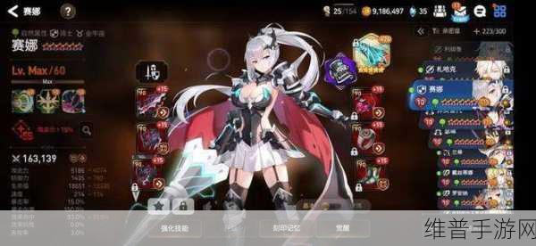 第七史诗利姆露装备搭配深度攻略