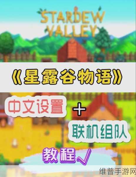 Steam星露谷物语中文设置全攻略，手游公司视角的深度解析