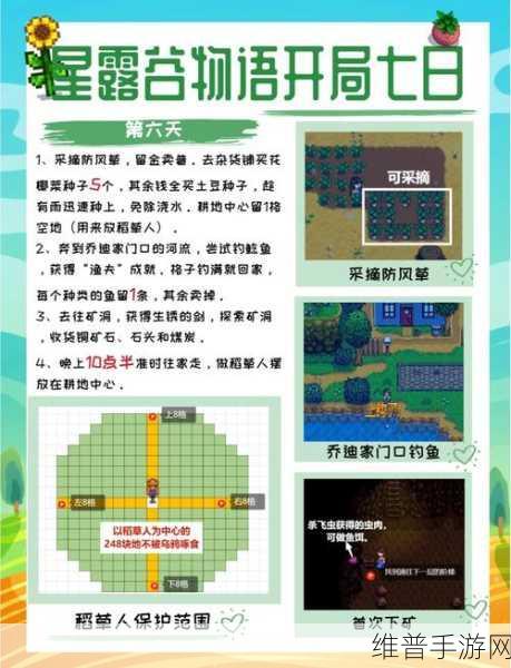 Steam星露谷物语中文设置全攻略，手游公司视角的深度解析
