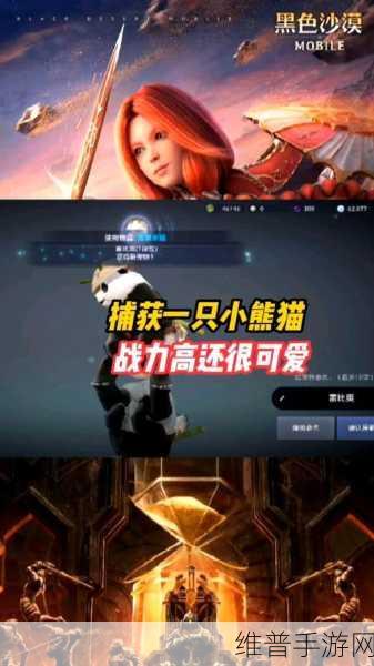 黑色沙漠手游熊猫获取方法全攻略