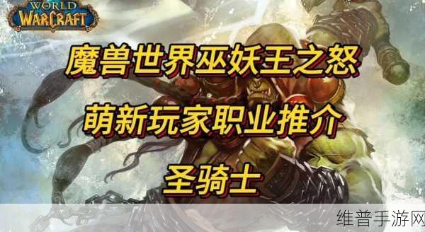 炉石传说深度攻略，哪个职业最强及排位等级解析