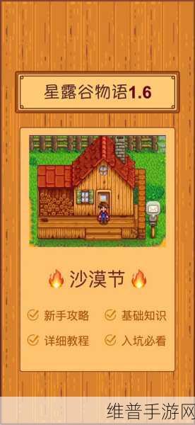 星露谷物语，全面解析沙漠通行方法