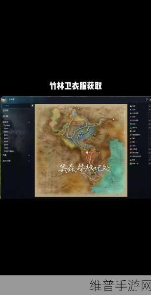 揭秘剑灵手游，竹林卫的衣服究竟源自何处？