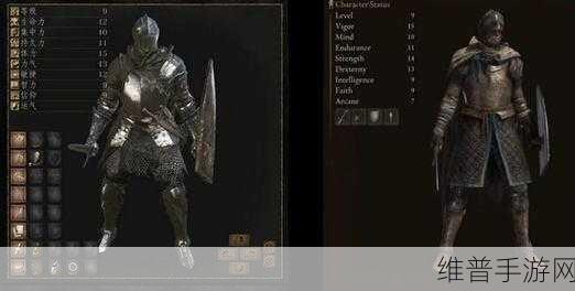 艾尔登法环流浪骑士全面攻略指南
