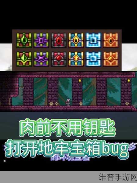 泰拉瑞亚游戏深度攻略，骨头钥匙特性与获取方式全面解析