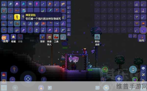 泰拉瑞亚游戏深度攻略,骨头钥匙特性与获取方式全面解析