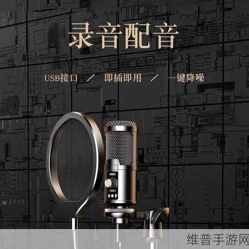 电容在音频设备中的影响,手游公司视角下的音质攻略数据