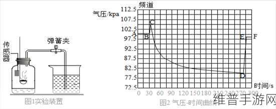 气体压力传感器种类、特点及其在环保监测中的手游攻略启示