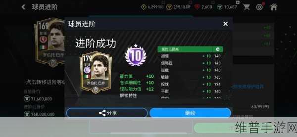 FC足球世界，全面解析进阶保护券的高效用法