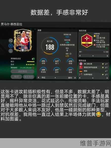 FC足球世界，全面解析进阶保护券的高效用法