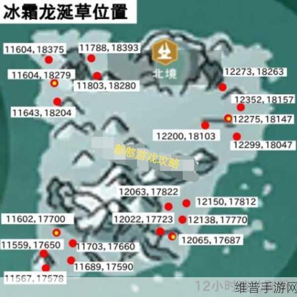 创造与魔法深度揭秘，龙牙获取及霸王龙挑战宝箱全攻略