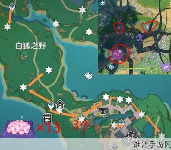 原神绯樱绣球采集全攻略，解锁高效采集方法