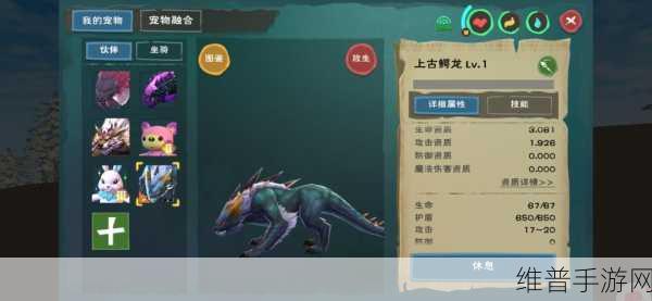 鳄龙喂养探秘与章鱼在创造与魔法中的关键角色深度解析
