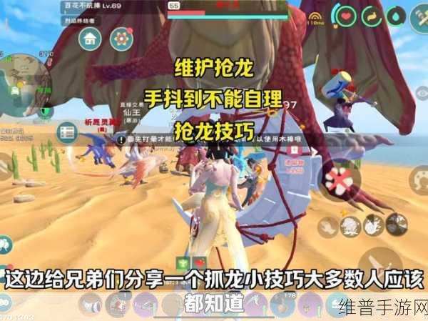 鳄龙喂养探秘与章鱼在创造与魔法中的关键角色深度解析