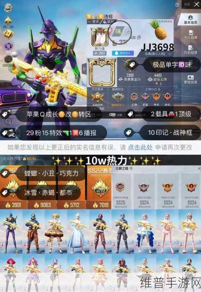 和平精英单排攻略，掌握技巧，轻松吃鸡
