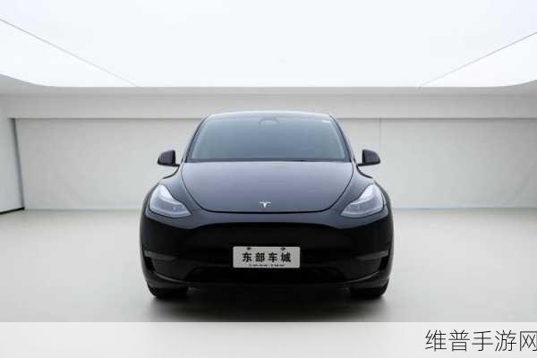 特斯拉25辆Model X大灯闪烁，揭秘手游光速纪元中的豪华座驾攻略