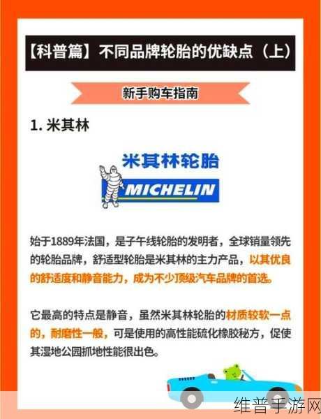 国产轮胎突破魔鬼三角秘籍，手游攻略视角下的全球市场领跑策略