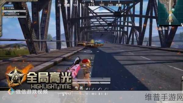 绝地求生刺激战场，堵桥技巧深度解析