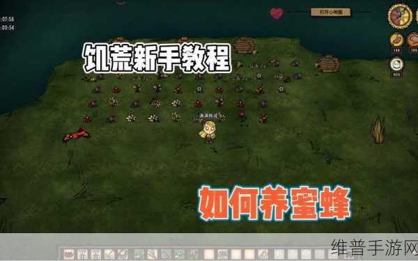 饥荒蜜蜂代码与实用攻略详解