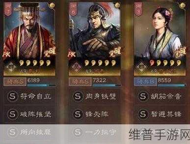 三国志战略版袁术阵容搭配深度解析——袁术T0最强阵容搭配攻略