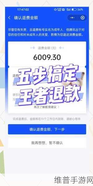 王者荣耀退款攻略，成年人如何申请全额退款详解
