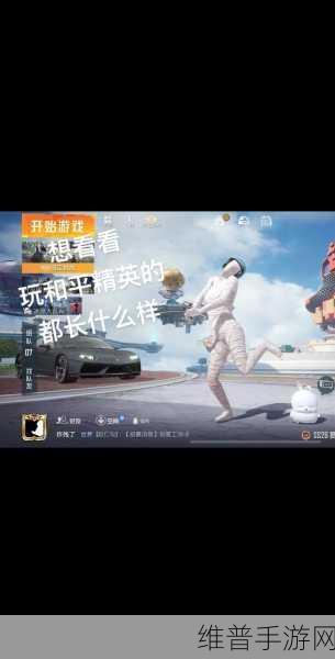 元梦之星突围梦幻岛与和平精英，两大手游的深度对比