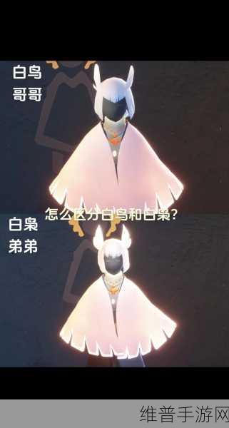 光遇手游攻略，揭秘白鸟斗篷的获取之道