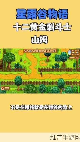 星露谷物语深度攻略，如何与山姆建立二星关系