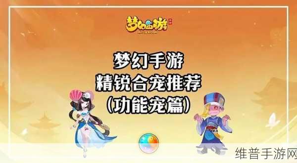 梦幻西游手游深度解析，龟速宠与高速宠的战场艺术