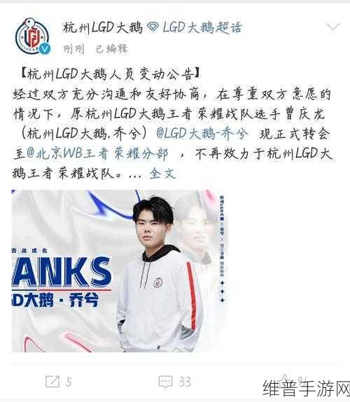 王者荣耀职业赛场风云，清清转会历程与影响深度剖析